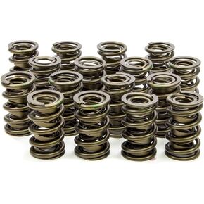 Isky Racing Cams (9945) 1.625" O.D. Valve Spring