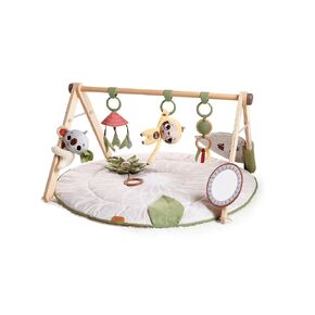 Tiny Love Boho Chic Gymini with Mirror and Detachable Toys, Wall Mount, Developmental Gym and Playmat for Babies, Newborns, and Infants