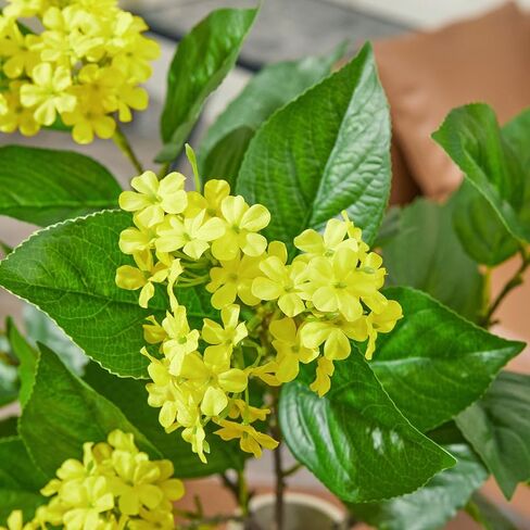 27.5 Inch Faux Flowers Yellow Hydrangea Silk Flowers Hydrangea Large Artificial Flowers with Stems for Wedding Centerpieces Home Party Shop Decoration 3 PCS in Saudi Arabia