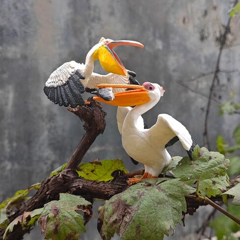 2PCS Bird Miniature Statue Pelican Figurines Home Decoration Furniture Desktop Tabletop Display… in Kuwait