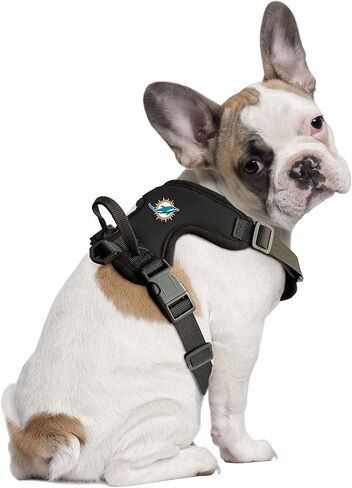 Littlearth Unisex-Adult NFL Dallas Cowboys Front Clip Pet Harness, Team Color, Small in Saudi Arabia