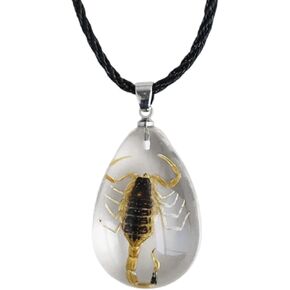 POYAMUSE Real Scorpion Pendant Necklace for Men and Women - Resin Bug Necklace, Scorpion Pendant Necklace - Amber Insect Necklace