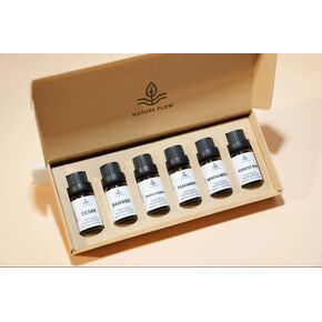 Woody Essential Oils Set - Aromatherapy Fragrance Oil Kit for Diffusers (6x10ML) - Sandalwood, Cedarwood, Teakwood, Freshcutwood, Forest Pine, Bamboo