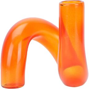 Amosfun Unique Glass Vase Novelty Hydroponic Flowerpot for Modern Home Decor - Ideal for Dried Flowers Table Centerpieces