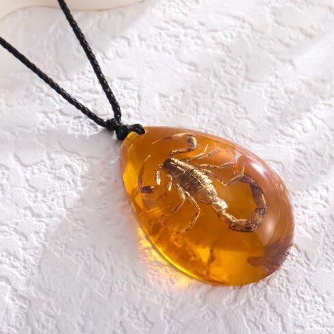 POYAMUSE Real Scorpion Pendant Necklace for Men and Women - Resin Bug Necklace, Scorpion Pendant Necklace - Amber Insect Necklace in Saudi Arabia