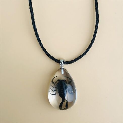 POYAMUSE Real Scorpion Pendant Necklace for Men and Women - Resin Bug Necklace, Scorpion Pendant Necklace - Amber Insect Necklace in Saudi Arabia