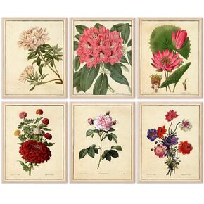 Vintage Botanical Flowers Art Prints (Set of 6) - Unframed - 8x10s | Charming and Classic Floral Décor for Your Home | Living Room Wall Décor | Vintage Wall Art | Vintage Wall Décor | Office Décor
