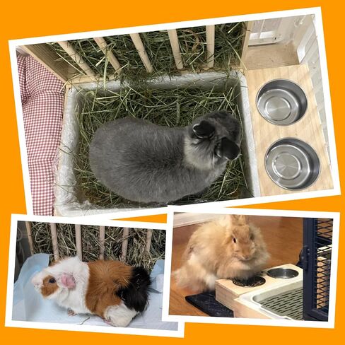 3 in 1 Rabbit Hay Feeder with Litter Box,Wooden Hay Feeder with 2 Bowls & Litter Box for Guinea Pig Chinchilla Bunny Other Small Animals,Large Capacity & Preventing Waste in Kuwait