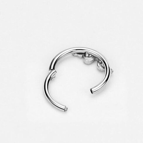 FANSING 316L Surgical Steel Snake Piercing Rings for Septum Daith in Kuwait
