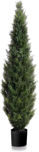 Two 3 Foot Artificial Cedar Topiary Tree Potted in Saudi Arabia