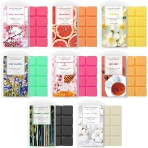 STRN Scented Fall Wax Melts 8 Pack Wax Cubes, Soy Wax Cubes for Warmer, Vanilla Cupcake, Orange Cinnamon, Balsam & Cedar, Warm Campfire, Apple Cider, Cookies for Santa, Pumpkins (8 x 2.5oz)