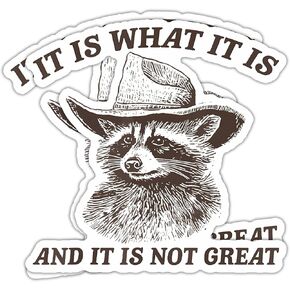 It is What It is and It is Not Great Racoon Sticker Decal Vinyl - 4 Inches - Funny Racoon Meme Sticker for Car Truck Van Window Bumper Laptop Tumbler Waterbottle Any Smooth Surface (2-Pack)