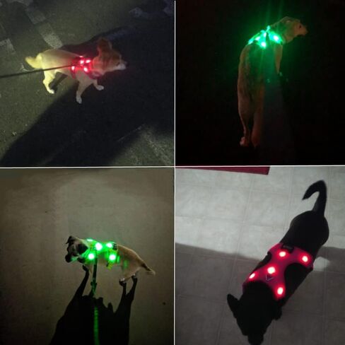 Safety LED Dog Harness - Light Up Dog Vest, No-Pull Dog Harness - Rechargeable Glowing Pet Harness for Night Walking & Camping (Red, S [Neck:12"-16.5"; Chest:17"- 25"]) in Kuwait