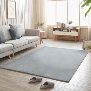 Tititex Luxury Collection Area Rug 2'x3' Ultra Soft Fur Fluffy Bedside Rug, Furry Shag Shaggy Non-Slip Floor Rugs Washable 1.18" High-Pile Plush Carpet for Nursery Bedroom Living Room Decor, Aqua