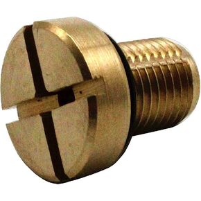 EVER STORE 17111712788 Coolant Bleeder Screw Compatible for E46 E92 E90 E36 E39 & Mini Cooper