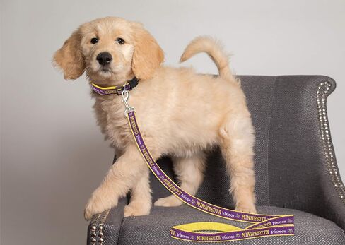 OLD VERSION- NFL Pet Leash, Large, Minnesota Vikings Dog Leash, Football Team Leash for Dogs & Cats. A Shiny & Colorful Dog & Cat Leash with Embroidered Team Name/Logo Licensed by the NFL in Saudi Arabia