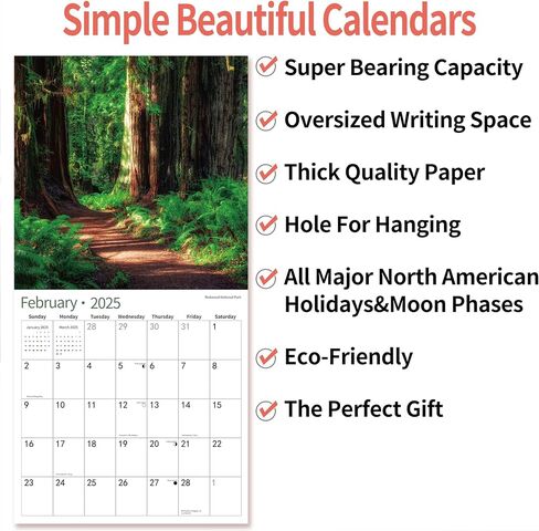 2025 Wall Calendar Funny Natures Dongs, November 2024 - December 2025, Funny Gag Gift for Adults, White Elephant Gift, 14-Month Organizer with D'ck Pics Nature Photos, 12" x 24" Opened in Kuwait