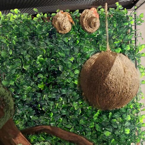 Hermit Crab Climbing Toys, Plastic Simulation Grass Aquarium Tank Decoration with 4 Suction Cups, Hermit Crab Green Plants Supplies Fake Turf, Accessories for Hermit Crab Reptile 10 x 10 Inch in Kuwait