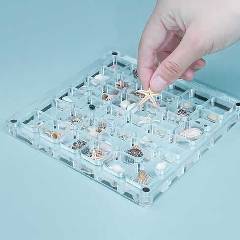 Multi-Style Clear Acrylic Magnetic Tiny Mini Treasure Hunting Seashell Trinket Jewelry Storage Holder Collection Display Shadow Box Organizer Case Container Collector Jar for Seashell Display in Saudi Arabia