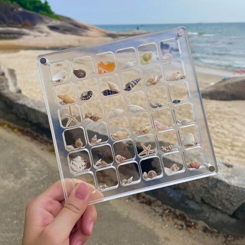 Multi-Style Clear Acrylic Magnetic Tiny Mini Treasure Hunting Seashell Trinket Jewelry Storage Holder Collection Display Shadow Box Organizer Case Container Collector Jar for Seashell Display in Saudi Arabia