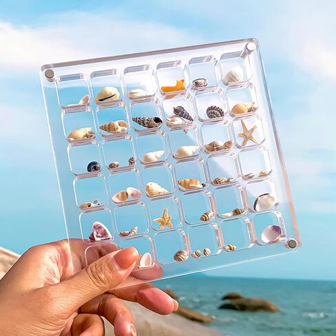 Multi-Style Clear Acrylic Magnetic Tiny Mini Treasure Hunting Seashell Trinket Jewelry Storage Holder Collection Display Shadow Box Organizer Case Container Collector Jar for Seashell Display in Saudi Arabia