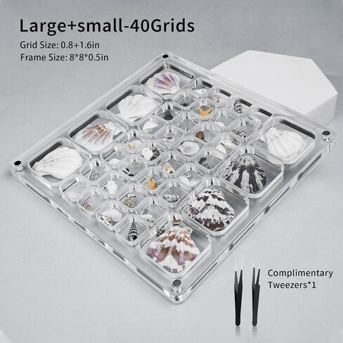 Multi-Style Clear Acrylic Magnetic Tiny Mini Treasure Hunting Seashell Trinket Jewelry Storage Holder Collection Display Shadow Box Organizer Case Container Collector Jar for Seashell Display in Saudi Arabia