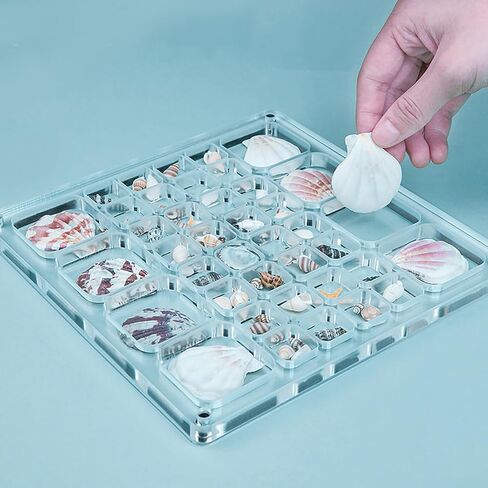 Multi-Style Clear Acrylic Magnetic Tiny Mini Treasure Hunting Seashell Trinket Jewelry Storage Holder Collection Display Shadow Box Organizer Case Container Collector Jar for Seashell Display in Saudi Arabia