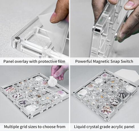 Multi-Style Clear Acrylic Magnetic Tiny Mini Treasure Hunting Seashell Trinket Jewelry Storage Holder Collection Display Shadow Box Organizer Case Container Collector Jar for Seashell Display in Saudi Arabia