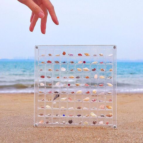 متعدد الأنماط من الأكريليك الشفاف المغناطيسي الصغير الكنز الصغير لصيد الصدف حلية المجوهرات حامل تخزين مجموعة عرض صندوق الظل المنظم حافظة حاوية جامع جرة لعرض الصدف in Kuwait