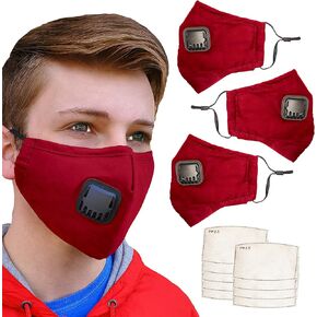 2 Pack Blue Face Mask 3 Layers Adjustable Nose Wire PM 2.5 Filters Adult Size