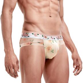 Mens Sexy Mesh Brief Underwear Ice Silk Printed See-through Bulge Enhancing Lingerie