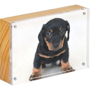 Canetti Wood Back Magnetic Picture Frame - Free Standing Picture Frames