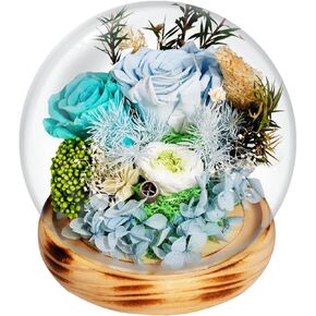Valentines Day Gifts for Her Preserved Flowers Long-Lasting Real Roses in Glass Dome to Show Love Birthday Gift for Women,Wife,Girlfriend,Mom,Grandma,Sister (PURPLE-L)