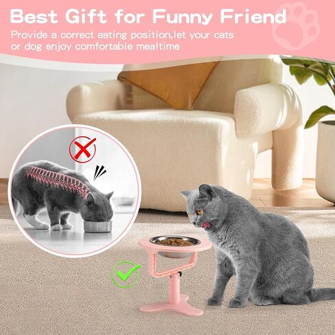 Elevated Cat Bowls Adjustable Cat Bowl Stand,Non-Slip Raised Cat Bowls Stainless Steel Raised Cat Bowls with 15°Tilted Stand for Cats and Puppy Black-2 Pack in Saudi Arabia