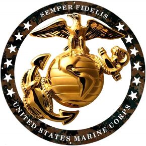 PhotoSteel USMC مُدرج على شكل دائري كبير شعار الجدار شارة 19 بوصة × 19 بوصة مشاة البحرية SEMPER FI