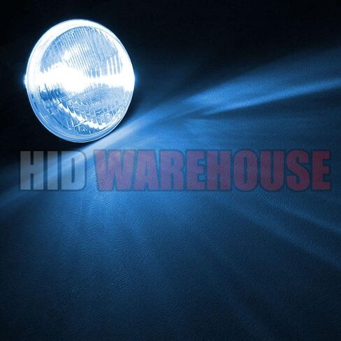 HID-Warehouse AC HID Xenon Replacement Bulbs - H1 5000K - Bright White (1 Pair) in Kuwait