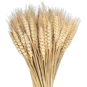 300PCS Dried Flowers Dried Wheat Stalks for Decor 16" Dry Flowers Dried Flowers Arrangement for Home Wedding Party Table Centerpieces DIY Design Farmhouse Decor