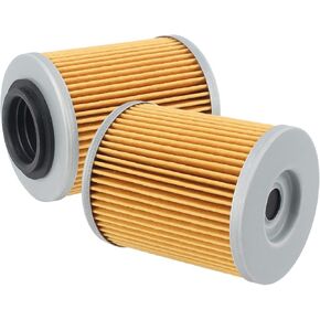 AUTOKAY 0800-011300 Engine Oil Filter Fits for CF Moto Cforce Zforce Uforce 400 500 800 950 1000cc - 2 Pcs