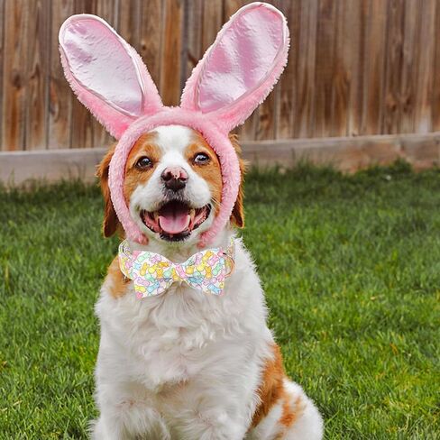 طوق كلب بنمط فريد من نوعه لعيد الحب مع فيونكة على شكل قلب محبب من القطن هدية زفاف للكلاب الصغيرة والمتوسطة والكبيرة in Kuwait