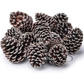 JOHOUSE 12PCS Natural Pine Cones, 4.5 Inch Christmas White Glitter Pinecones with Hanging Rope, White Pine Cones for Christmas Tree, Holiday Wreath Ornaments, DIY Craft Decorations, Winter Vase Filler