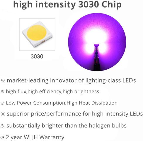 WLJH مجموعة مصابيح LED بيضاء ساطعة للغاية للوحة أجهزة قياس الإضاءة لسيارة Ford F150 F250 2000-2008، عبوة من 8 قطع in Kuwait