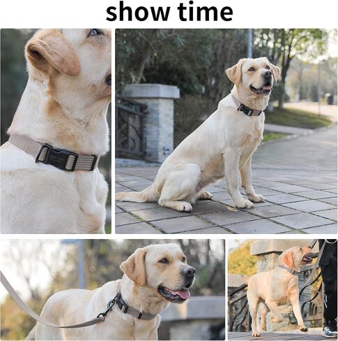 lynxking Dog Collar Soft Padded Breathable Cotton Solid Color Strong Adjustable Pet Collar for Little Puppy in Kuwait