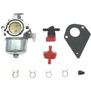 698171 Carburetor for 698171 697594 Fits 283000 284000 286000 Carb