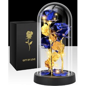 Valentines Day Gifts for Her, Glass Rose Flower Birthday Gifts for Women Mom Wife Girlfriend, Light Up Rose in A Glass Dome, Rose Gifts for Valentine's Day, Mothers Day, Womens Day (Red)