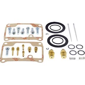 All Balls Racing Carburetor Rebuild Kit 26-10107 Compatible With/Replacement For Ski-Doo Formula S 1995 1996 1997 1998 1999, Formula S/DLX 2000 2001, MX Z 380 F 2001, Skandic 380 1995 1996-2000