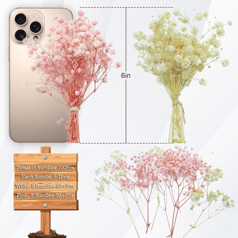 100Pcs Mini Dried Babys Breath Flowers Pink & White, 5600+ Baby's Breath Bulk Bouquet, Natural Dried Gypsophila Flowers for Resin, Home Vase Decor, Card Making DIY, Party, Wedding Flower Wreaths in Saudi Arabia