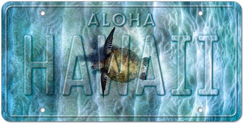 Pacifica Island Art LIVE ALOHA - Retro Vintage Hawaiian Embossed Aluminum License Plate - Aloha Hawaii State Aluminum Sign for Home Decor Wall Plaque 6 x 12 inch in Saudi Arabia