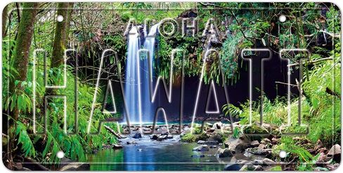Pacifica Island Art LIVE ALOHA - Retro Vintage Hawaiian Embossed Aluminum License Plate - Aloha Hawaii State Aluminum Sign for Home Decor Wall Plaque 6 x 12 inch in Saudi Arabia