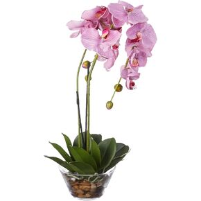 Nearly Natural Phalaenopsis with Glass Vase Silk Flower Arrangement