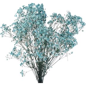 MECCANIXITY Artificial Dried Baby's Breath Flowers 12 Inch Gypsophila Red Natural Baby's Breath Branches for Wedding Party Home Decoration 1 Pcs
